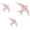Golondrina rosa