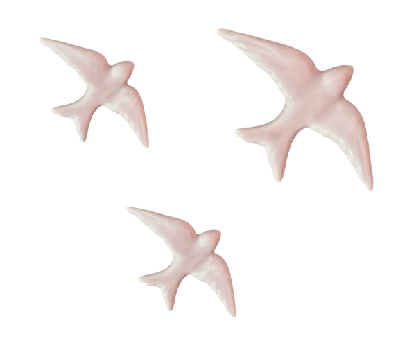 Golondrina rosa