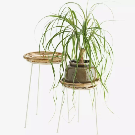 portamacetas bambú elliot