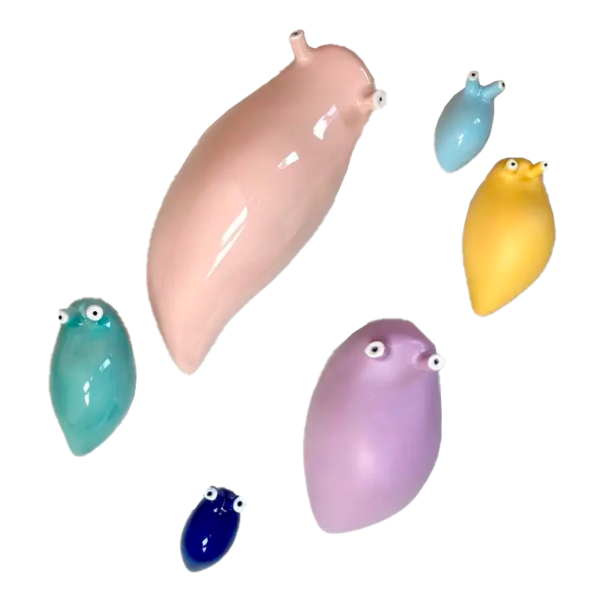 babosas de colores