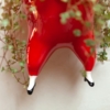 saltimbanqui roja