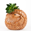 florero pangolín