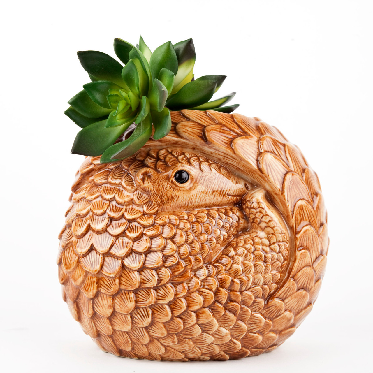 florero pangolín