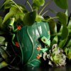 florero ranitas
