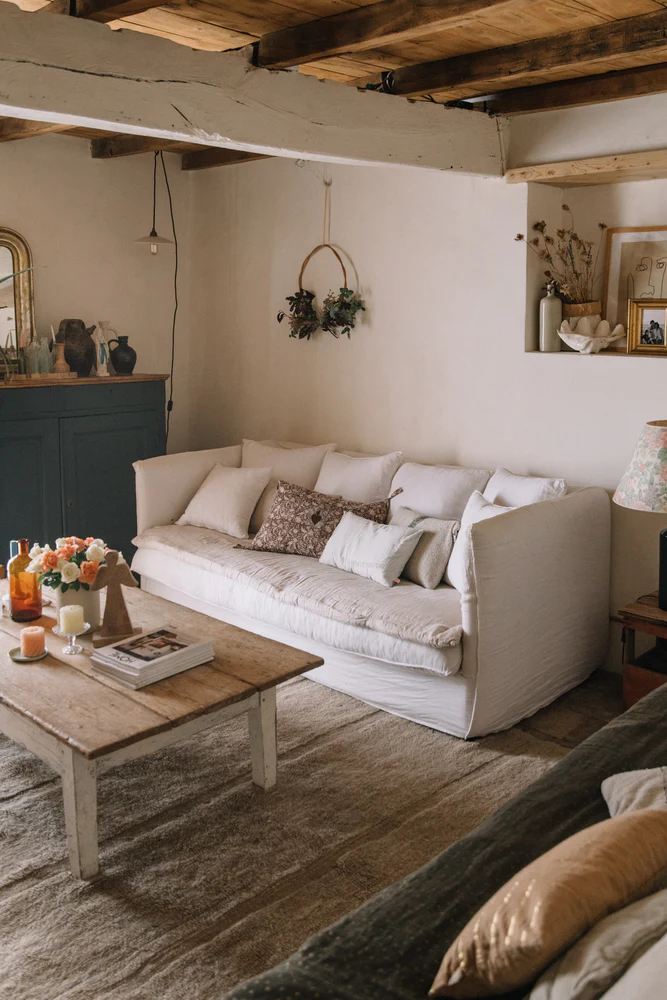 woolable steppe sheep beige