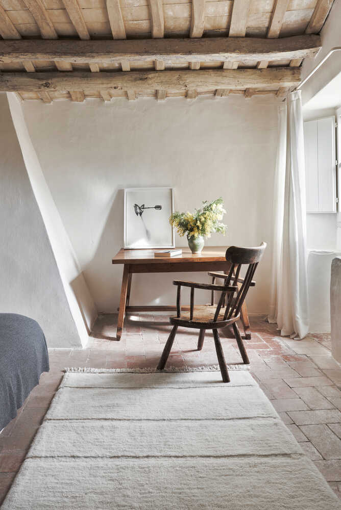 woolable steppe sheep blanco