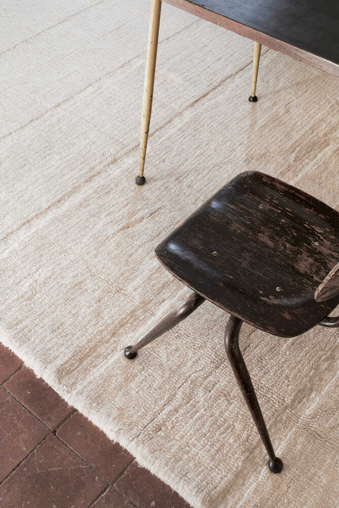 woolable steppe sheep blanco