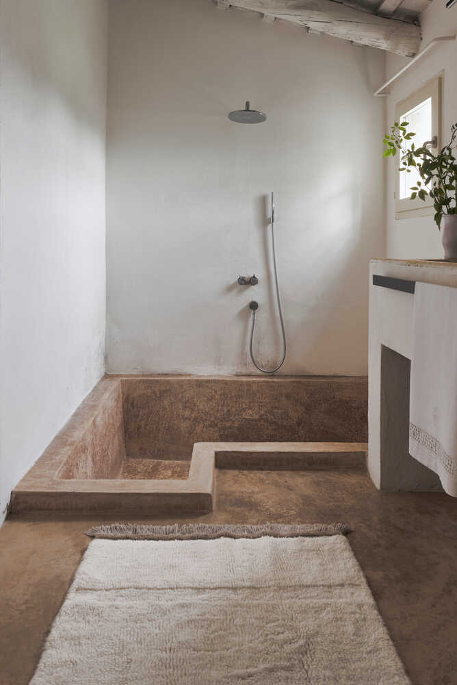 woolable steppe sheep blanco