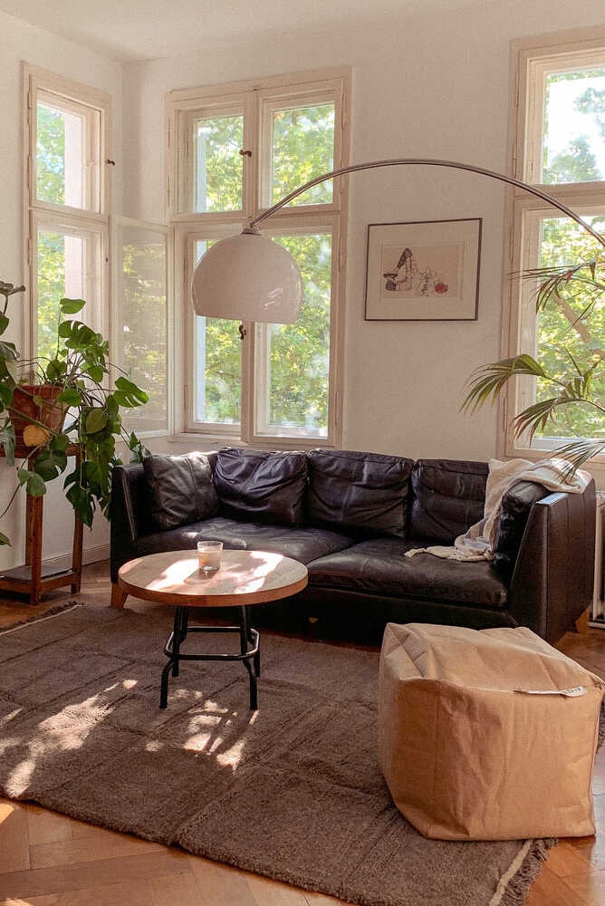 woolable steppe sheep marron