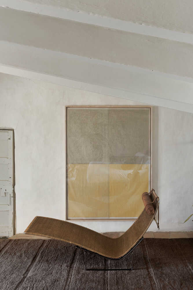 woolable steppe sheep marron