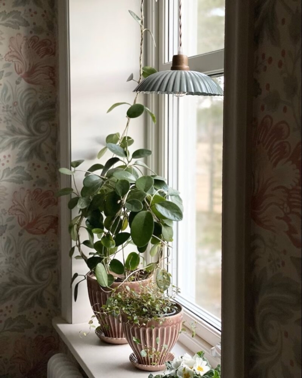 lampara pipa acqua S lampara pipa acqua S