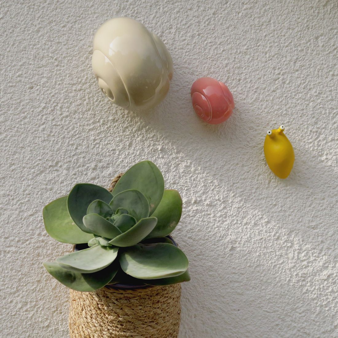 caracol y babosa colores