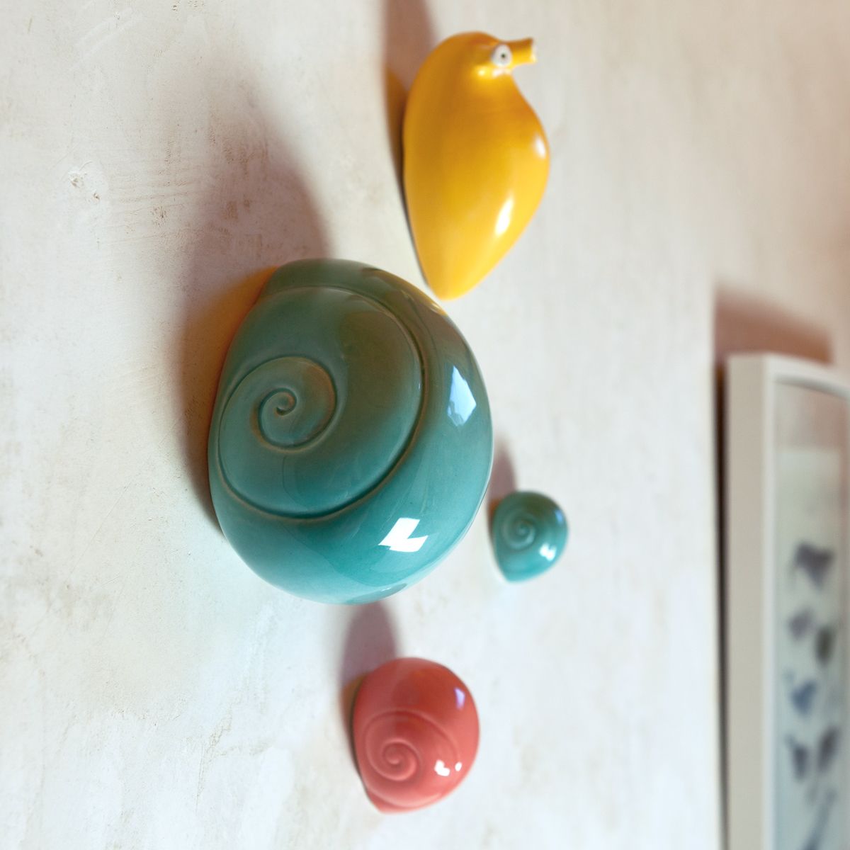 caracol y babosa colores