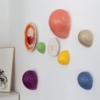 caracol colores