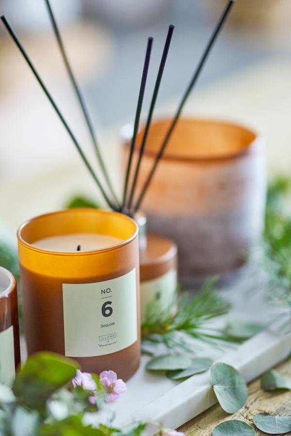 vela natural sequoia