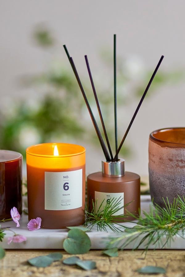 vela natural sequoia