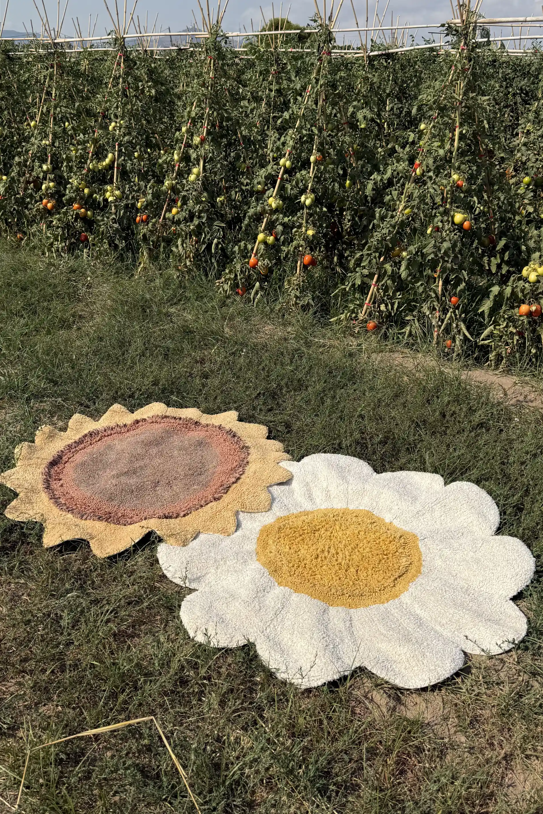 Alfombra lavable Daisy